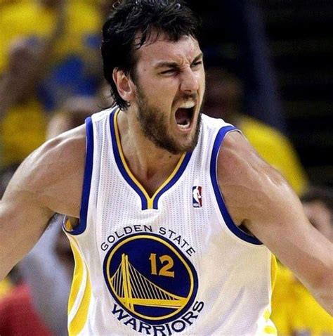 golden state warriors andrew bogut.